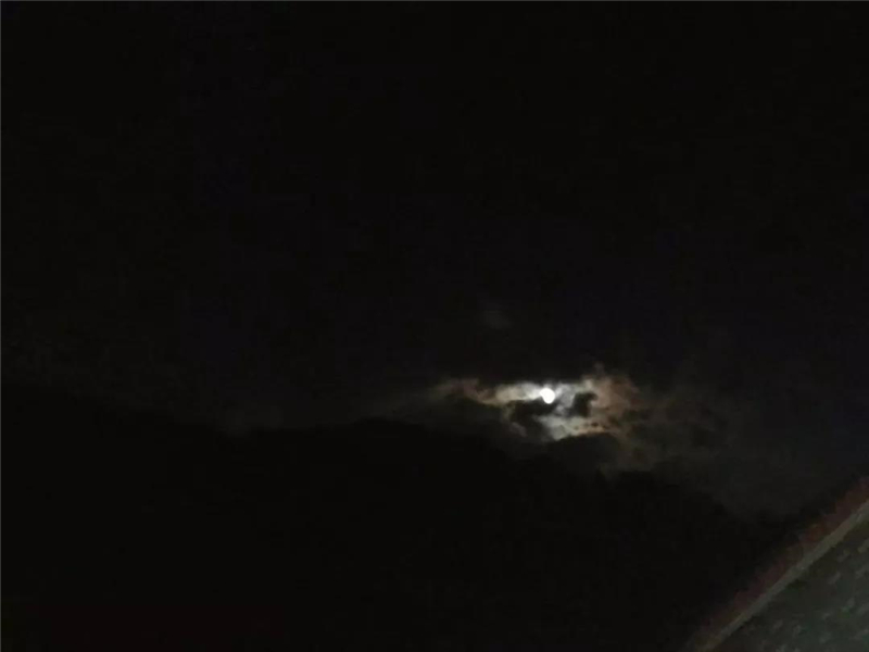 1547011027114115.jpg 17.jpg