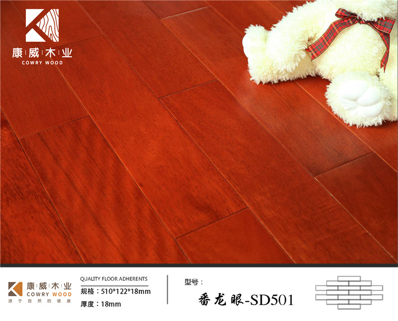 番龍眼-SD501.jpg