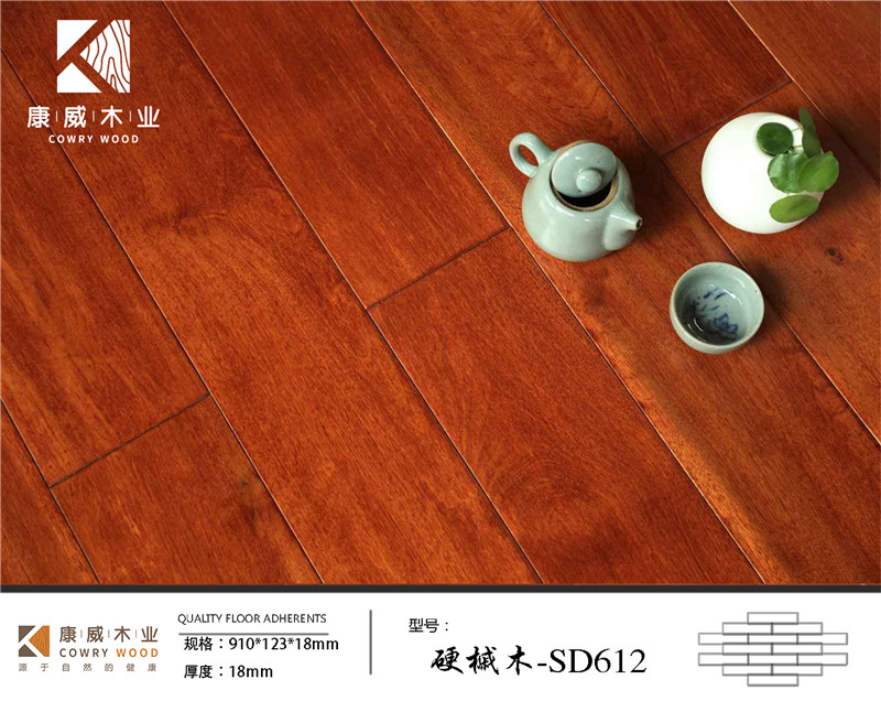 硬槭木-SD612.jpg