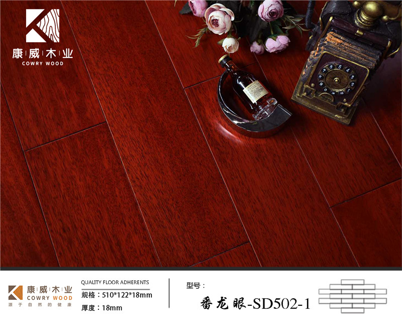 番龍眼-SD502.jpg