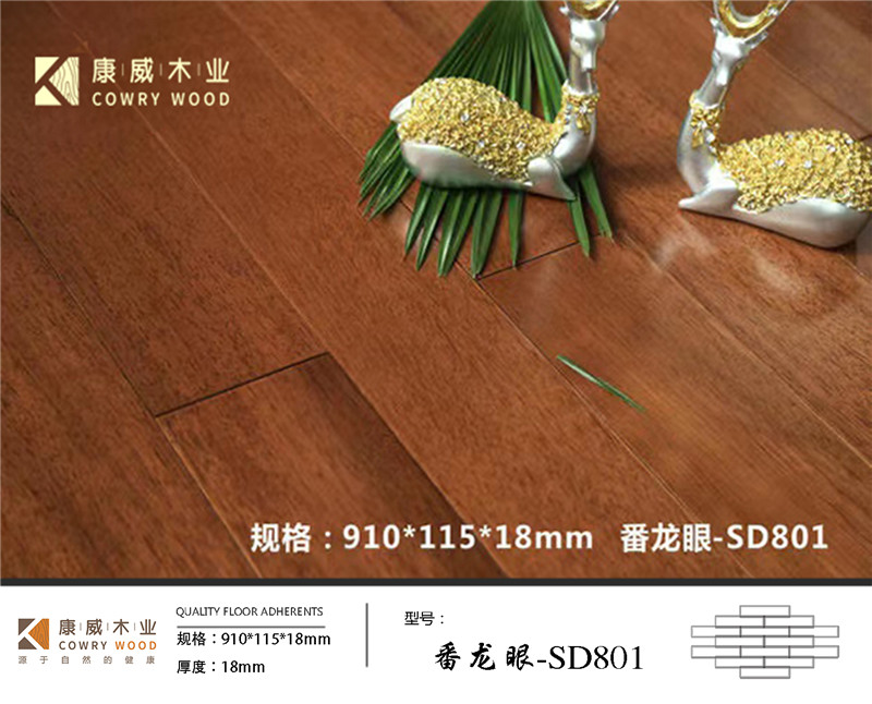 番龍眼-SD801.jpg